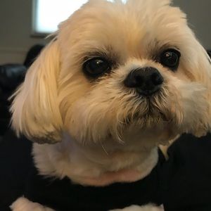 Meet your Posher, Marian